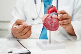Best Cardiologist in Marine Lines